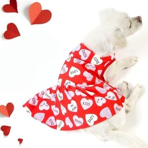 Valentines Day Dog Dress